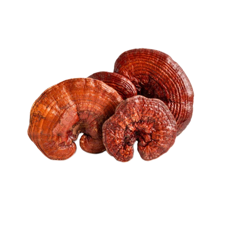 Reishi lakkakääpäkapselit 400 mg 80 kapselia